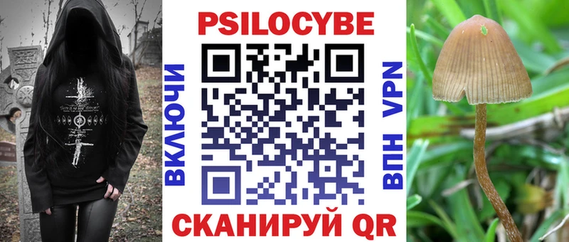 как найти закладки  Суворов  Галлюциногенные грибы Psilocybine cubensis 